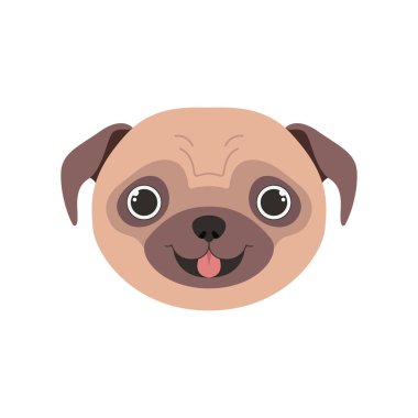 beyaz arka plan üzerinde sevimli pug köpek başı