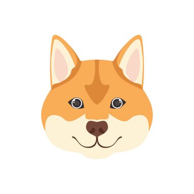 beyaz arka plan üzerinde sevimli akita inu köpek başkanı