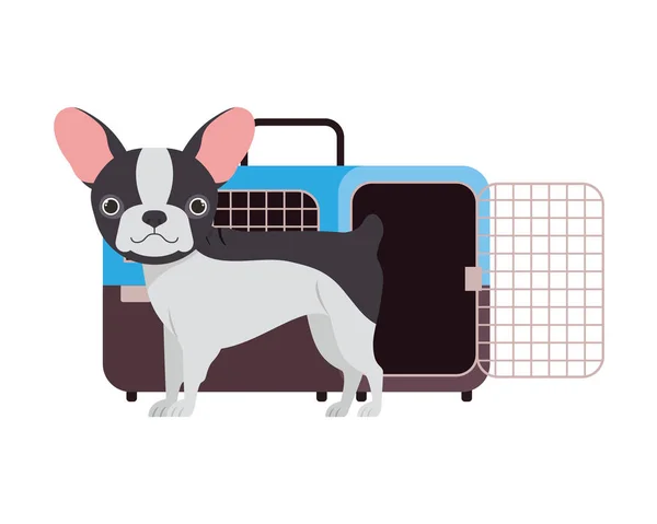 Cão e animal de estimação caixa de transporte no fundo branco — Vetor de Stock