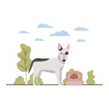 manzara üzerinde kase ve evcil hayvan gıda ile köpek