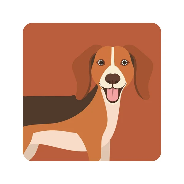 Lindo perro beagle sobre fondo blanco — Vector de stock