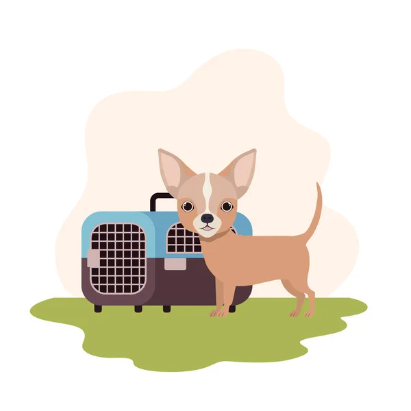 Cão e animal de estimação caixa de transporte com paisagem de fundo — Vetor de Stock