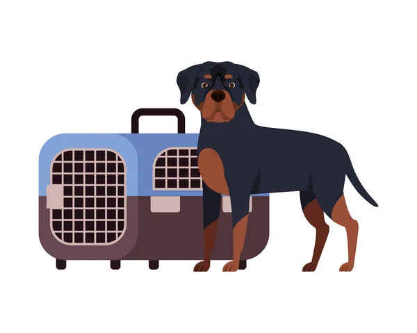Cão e animal de estimação caixa de transporte no fundo branco — Vetor de Stock