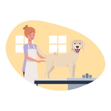 evcil hayvan damat köpek ile genç kadın