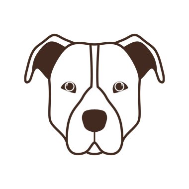 beyaz arka plan üzerinde sevimli pitbull köpek