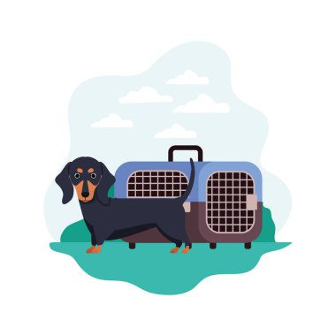 arka plan manzara ile köpek ve evcil hayvan taşıma kutusu