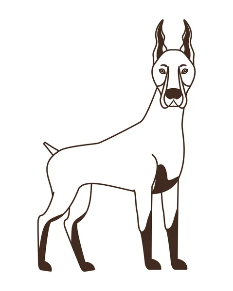 白い背景にかわいいドーベルマン犬のシルエット — ストックベクタ