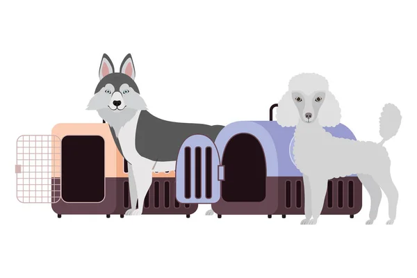Psi a přepravky pro zvířata na bílém pozadí — Stockový vektor
