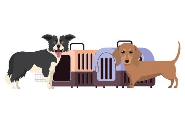 Собаки и коробки для перевозки животных на белом фоне — стоковый вектор