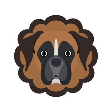 kart sevimli ve köpek güzel