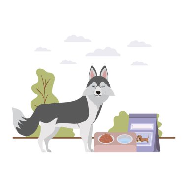 manzara üzerinde kase ve evcil hayvan gıda ile köpek