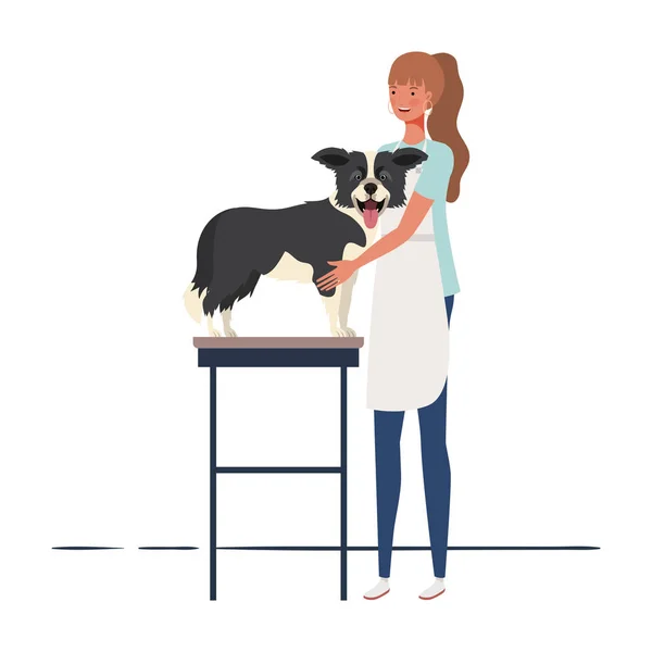 Mujer joven peinando un perro en peluquero de mascotas — Vector de stock