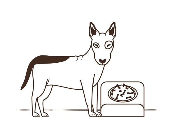 Silueta psa s miskou a domácími potravinami na bílém pozadí — Stockový vektor