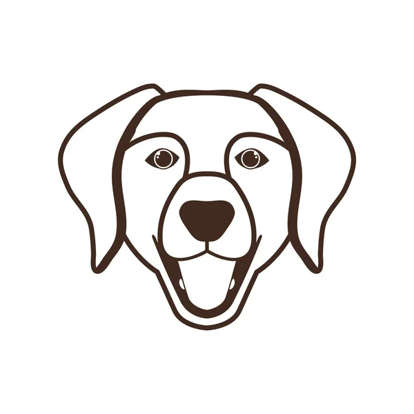 Head of cute labrador retriever dog on white background — Stock Vector