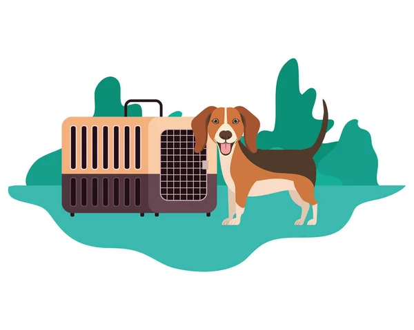背景の風景を持つ犬とペットの輸送ボックス — ストックベクタ