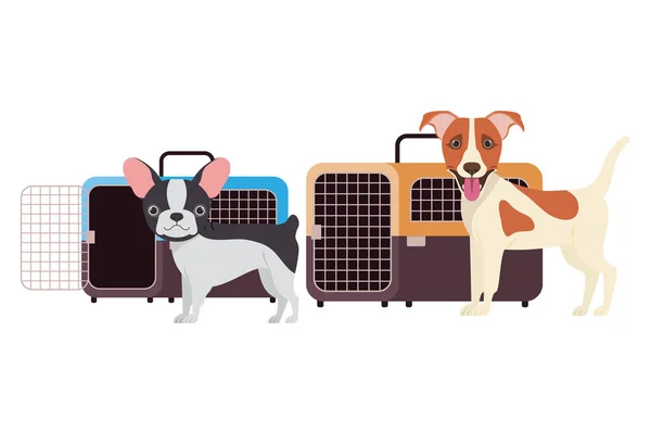 Cães e caixas de transporte de animais de estimação no fundo branco — Vetor de Stock