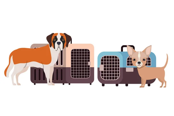 Boîtes de transport pour chiens et animaux sur fond blanc — Image vectorielle