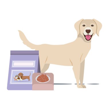 beyaz arka plan üzerinde kase ve evcil hayvan maması ile köpek