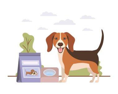 manzara üzerinde kase ve evcil hayvan gıda ile köpek