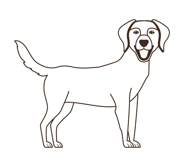 Silhouette de chien labrador retriever mignon sur fond blanc — Image vectorielle