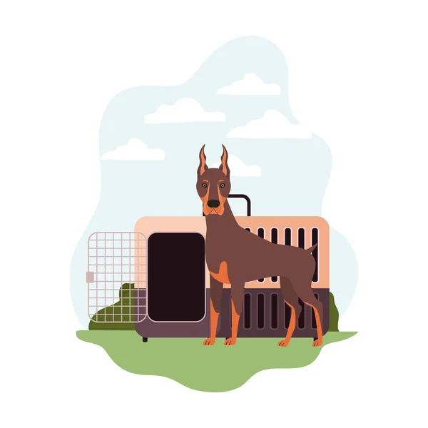 Коробка для перевозки собак и животных с фоновым пейзажем — стоковый вектор