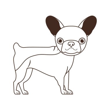 beyaz arka plan üzerinde sevimli boston terrier köpek silueti