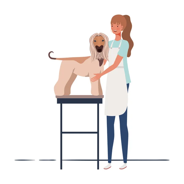Giovane donna pettinando un cane in pet groomer — Vettoriale Stock
