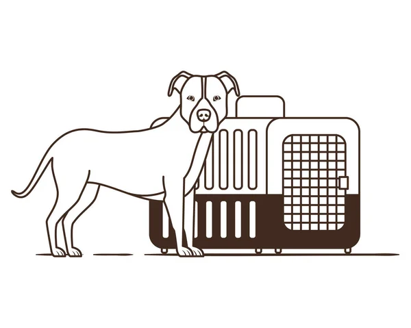 白色背景上的狗和宠物运输箱的剪影 — 图库矢量图片