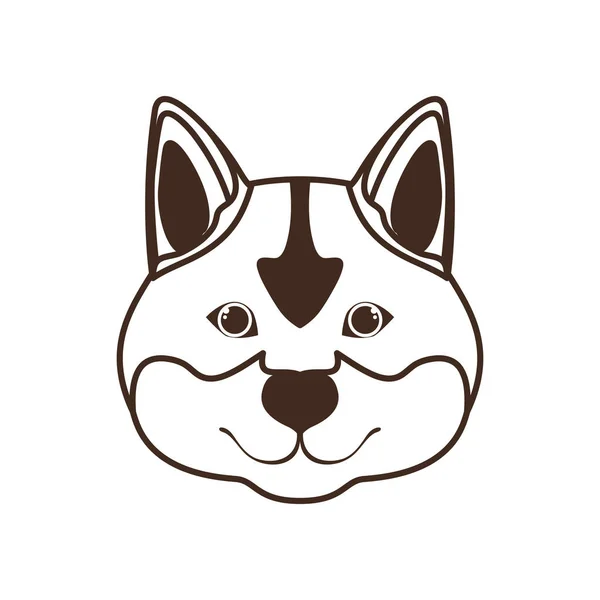 Cabeça de cão bonito akita inu no fundo branco — Vetor de Stock