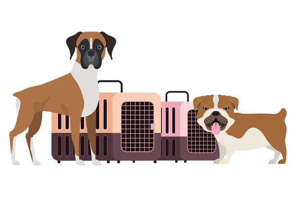 Boîtes de transport pour chiens et animaux sur fond blanc — Image vectorielle