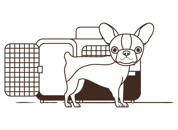Silhueta de cão e caixa de transporte de animais de estimação no fundo branco —  Vetores de Stock