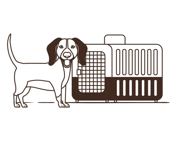 白い背景に犬とペット輸送ボックスのシルエット — ストックベクタ
