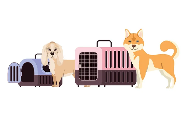 Boîtes de transport pour chiens et animaux sur fond blanc — Image vectorielle