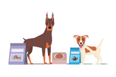 beyaz arka plan üzerinde kase ve evcil hayvan gıda ile köpekler