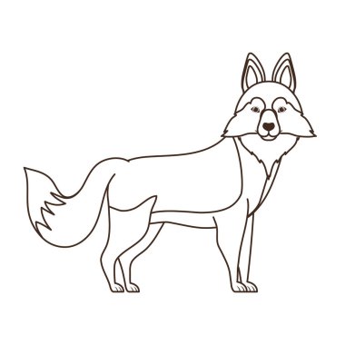 beyaz arka plan üzerinde sevimli lobo sibirya köpek silueti