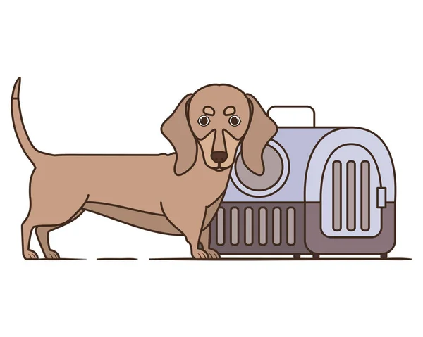 Caja de transporte para perros y mascotas sobre fondo blanco — Vector de stock