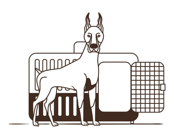 Silueta de perro y caja de transporte de mascotas sobre fondo blanco — Vector de stock