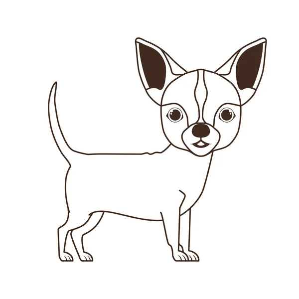 Silueta de lindo perro chihuahua sobre fondo blanco — Vector de stock