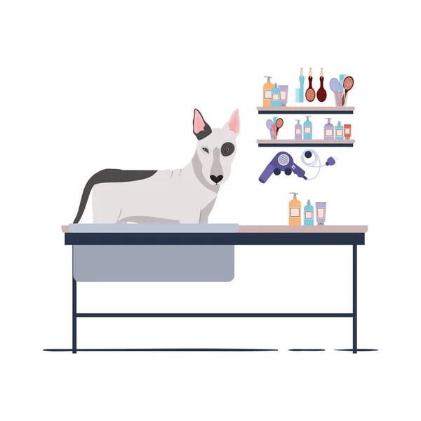Pes na kadeřnické tabulce s bílým pozadím — Stockový vektor