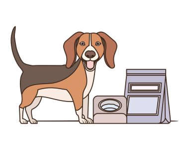 beyaz arka plan üzerinde kase ve evcil hayvan maması ile köpek