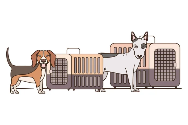 Boîtes de transport pour chiens et animaux sur fond blanc — Image vectorielle