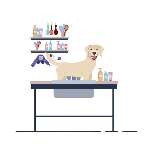 Pes na kadeřnické tabulce s bílým pozadím — Stockový vektor