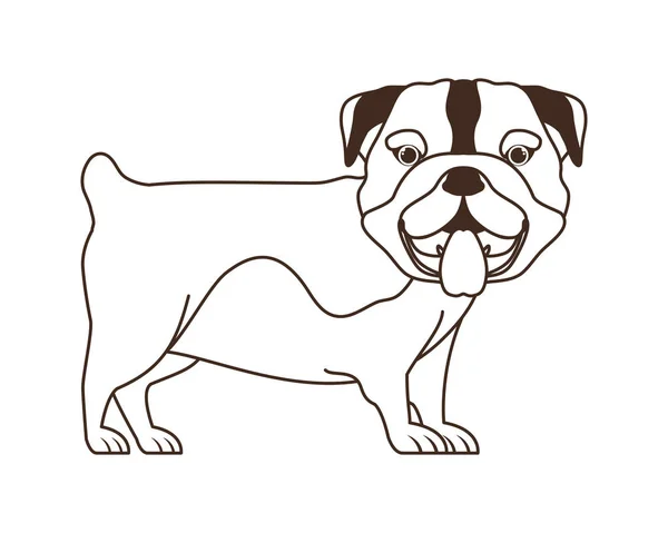 Sylwetka cute Bulldog Ingles psa na białym tle — Wektor stockowy