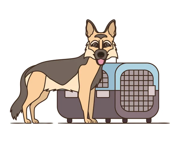Boîte de transport chien et animal sur fond blanc — Image vectorielle
