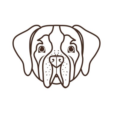 beyaz arka plan üzerinde sevimli san bernardo köpek başkanı