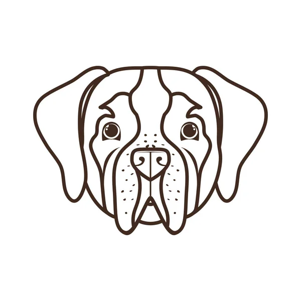 Kopf des niedlichen San Bernardo-Hundes auf weißem Hintergrund — Stockvektor