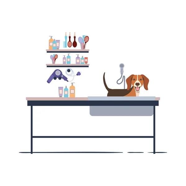 Dog on hairdressing table with white background — Stock Vector