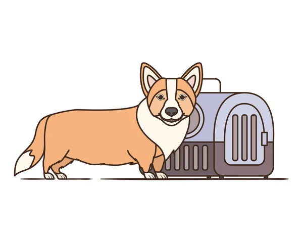 Transportbox für Hunde und Haustiere auf weißem Hintergrund — Stockvektor