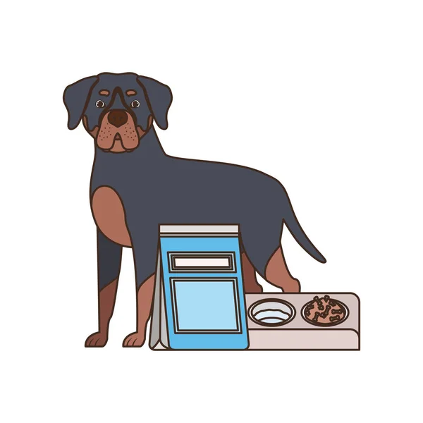 Perro con tazón y comida para mascotas sobre fondo blanco — Vector de stock