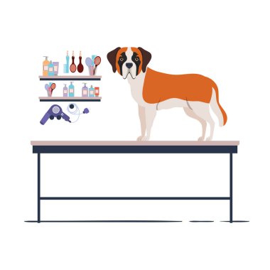 beyaz arka plan ile kuaför masada köpek